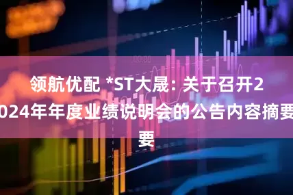领航优配 *ST大晟: 关于召开2024年年度业绩说明会的公告内容摘要