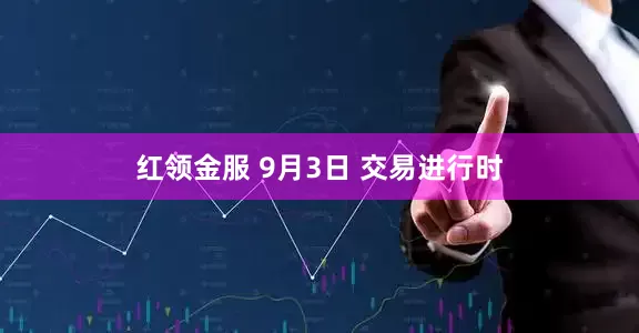 红领金服 9月3日 交易进行时
