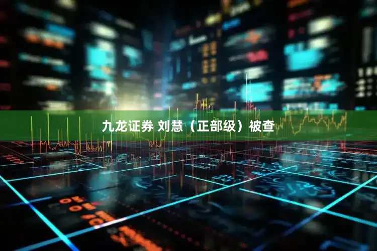 九龙证券 刘慧（正部级）被查